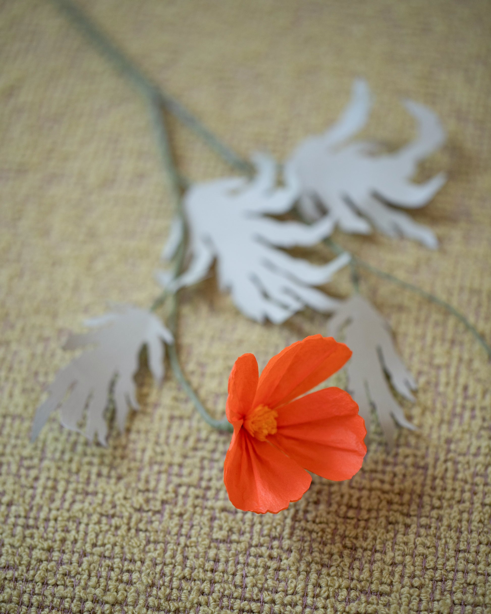 Closeup details of the The Green Vase Paper California Poppy Stem on light color background.