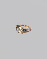 View from the side of the Diamond & Sapphire Vega Ring on light color background.