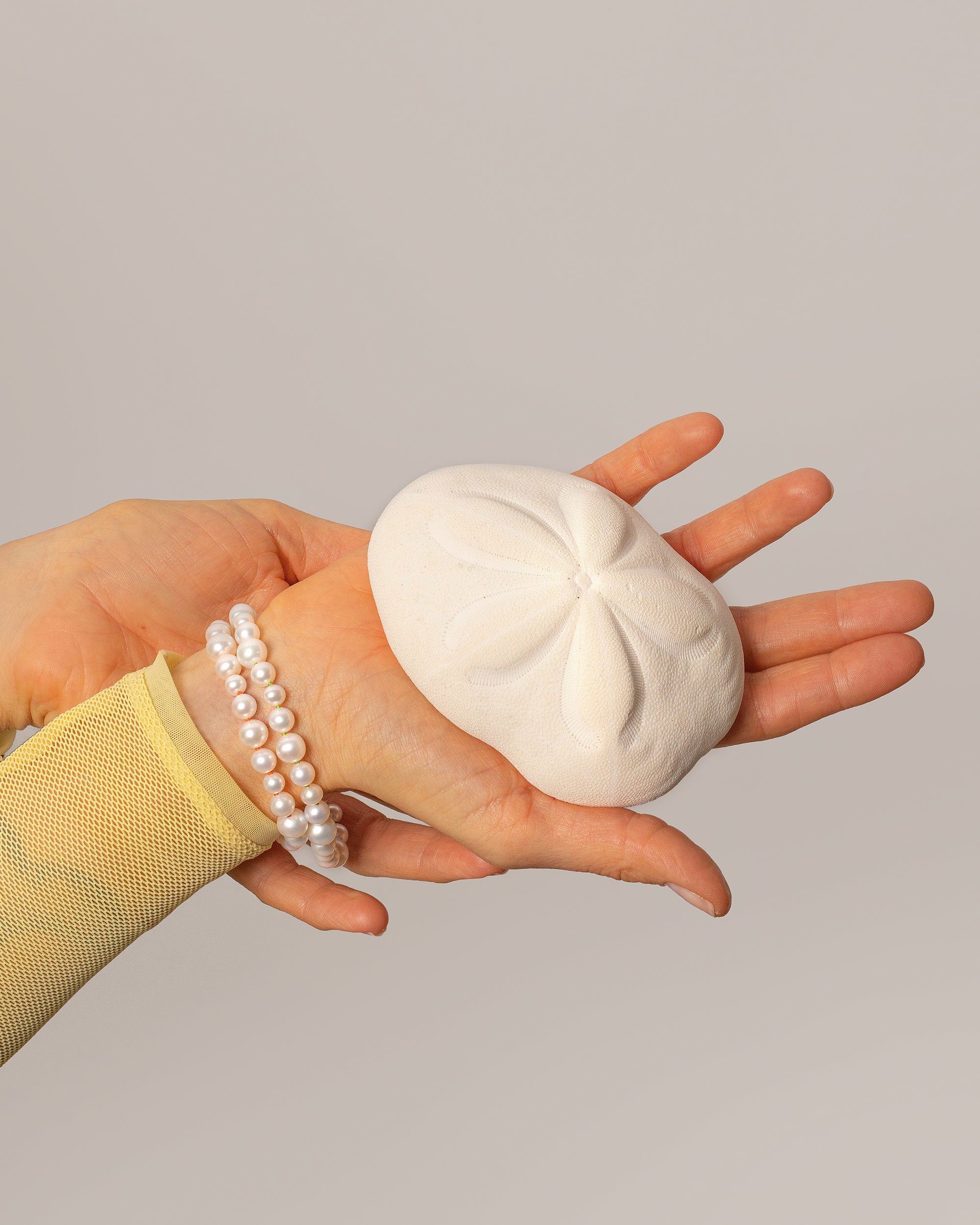 VsLl5lWSl1BtGVxdCV7qBzXWKM8iF8