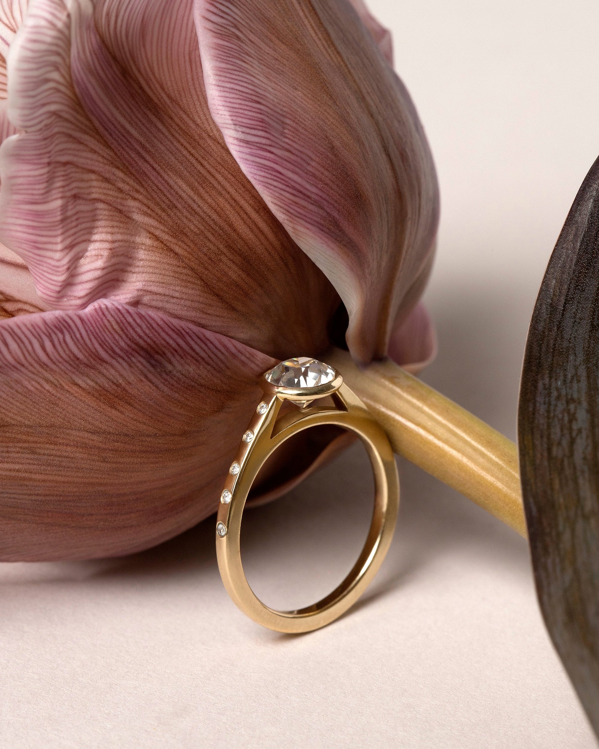 Styled image featuring the Calatrava Ring.