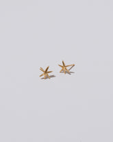 Gold Small Verve Six Point Star Stud Earrings on light color background.'