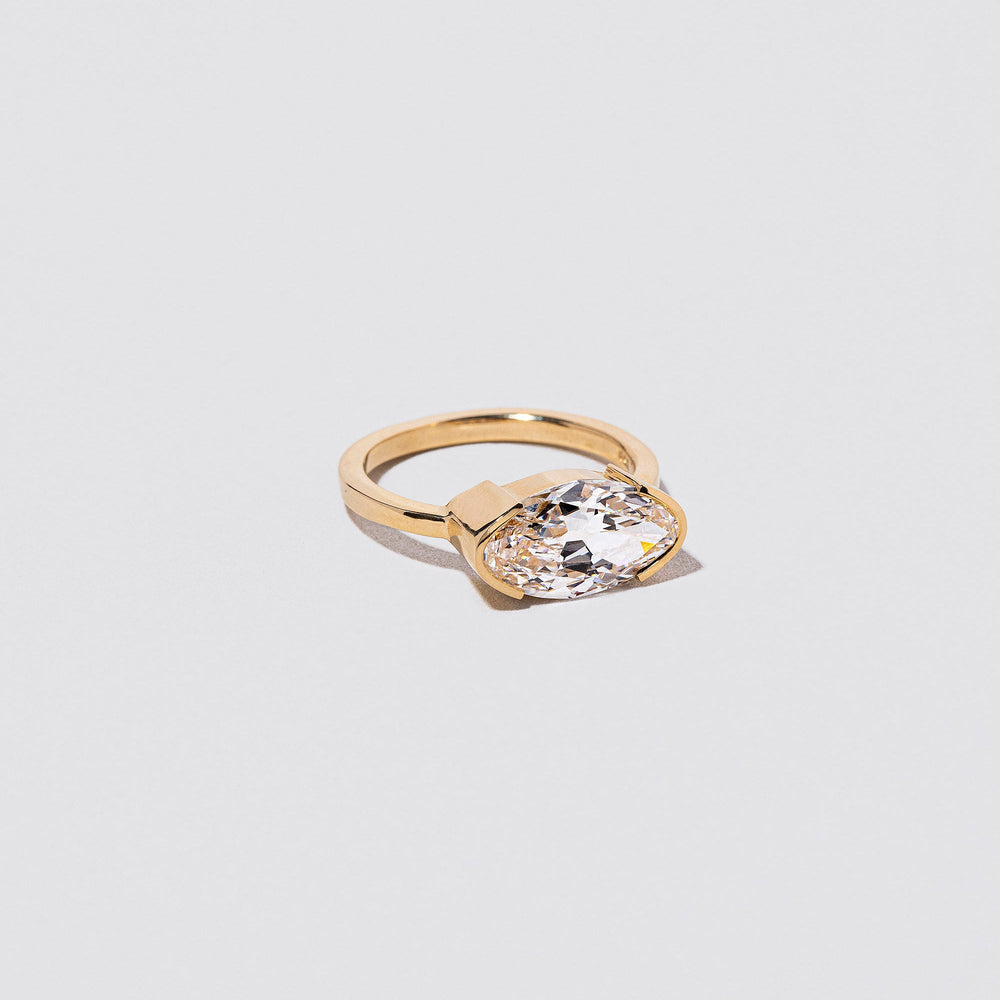 product_details:: Everlasting Ring on light color background.