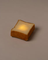  Pampshade Toast Lamp on light color background.