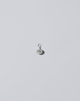 Silver garlic charm on light colored background 