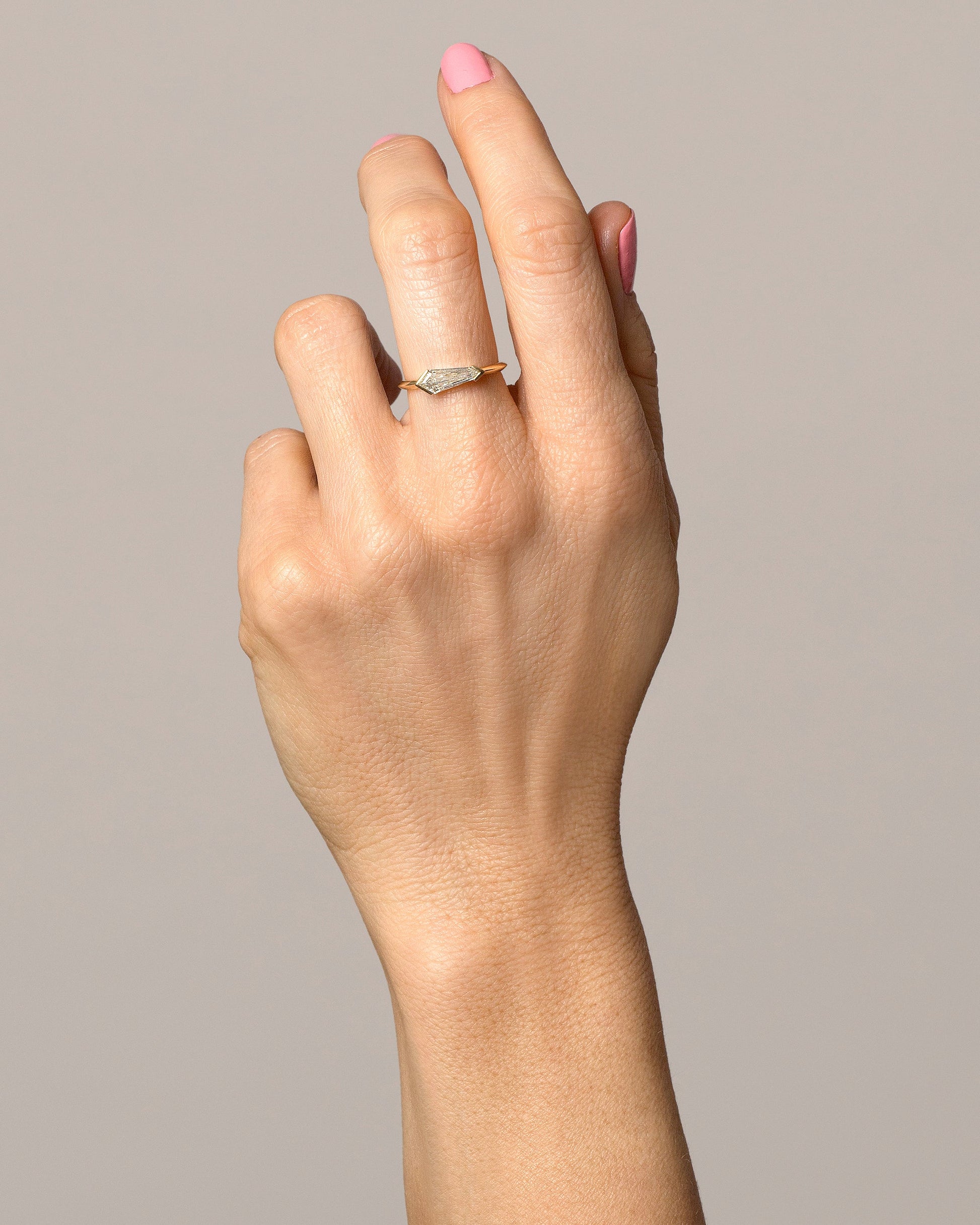 Lacerta Ring on model.