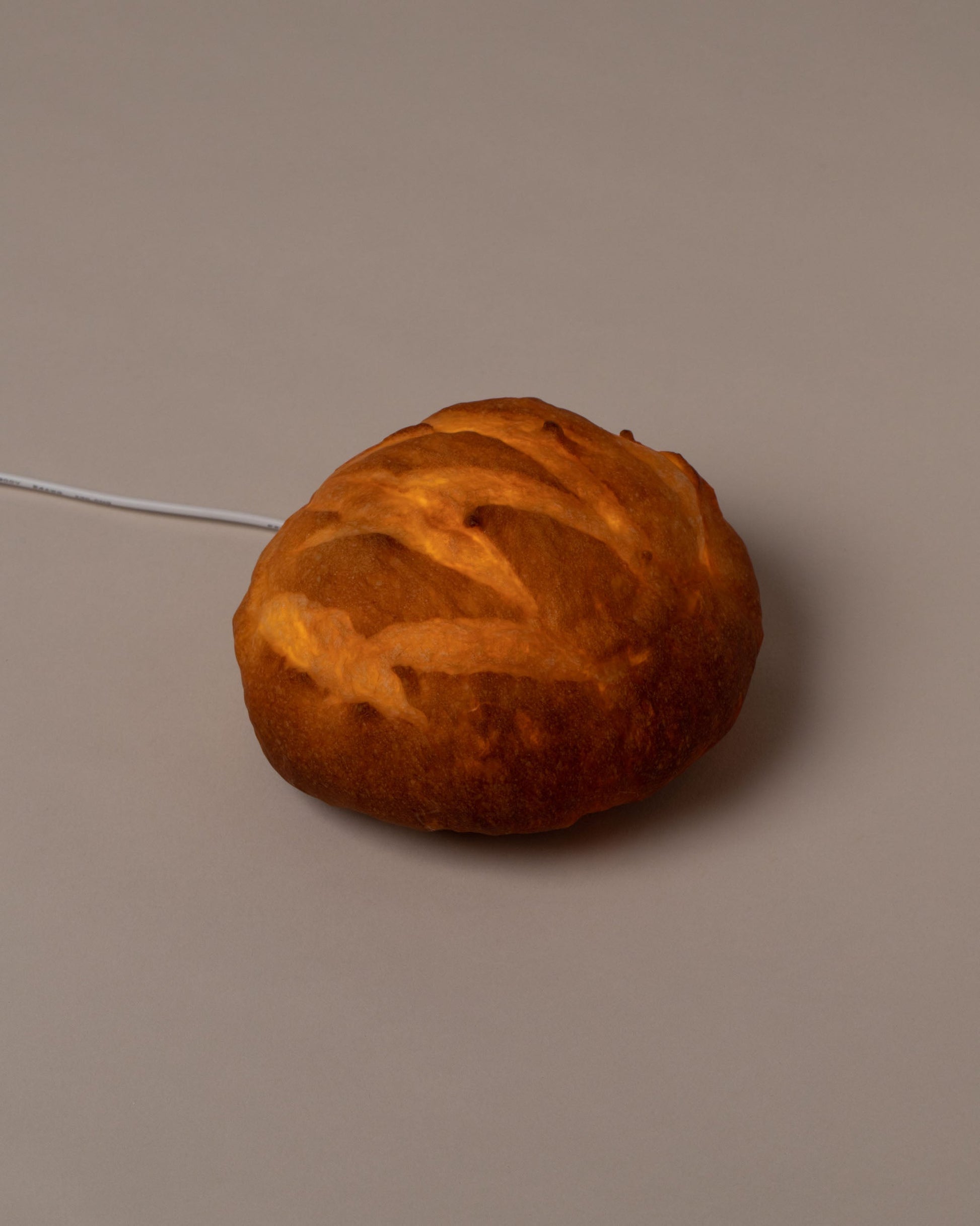  Pampshade Boule Lamp on light color background.