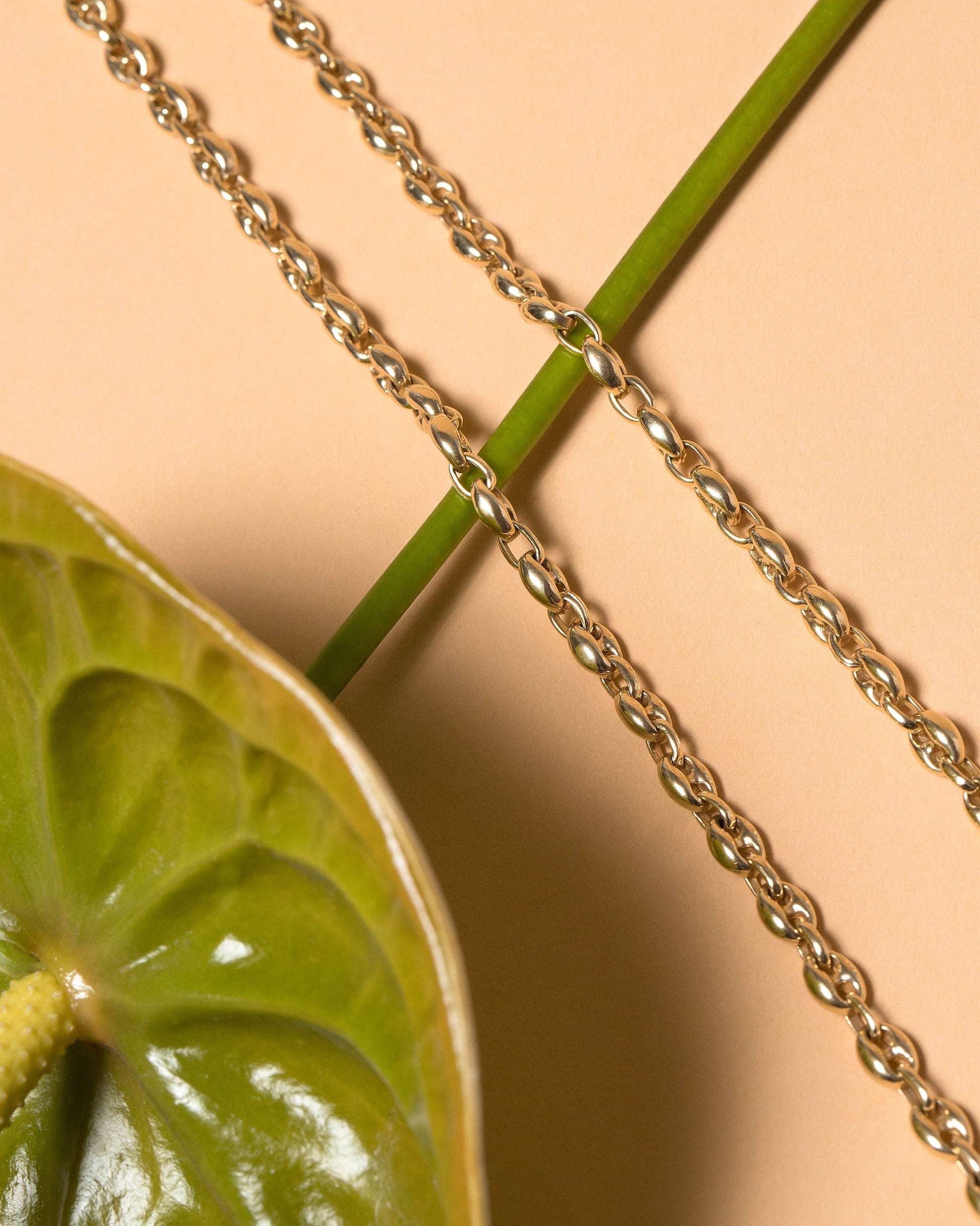  Segmented Chain Bracelet on light color background.