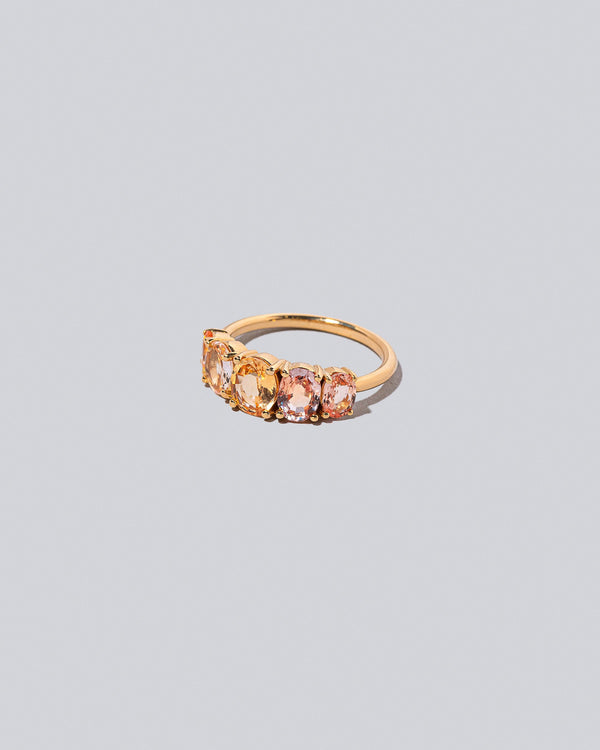  Double Ring on light color background.