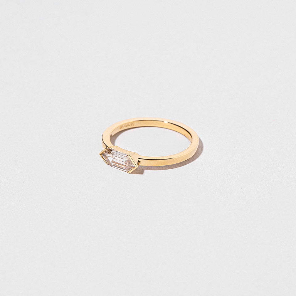 product_details:: Ergodic Ring on light color background.