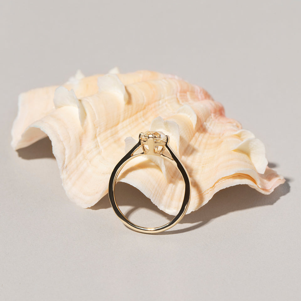 product_details:: Side view Barragán Ring leaning against shell on light colored background 