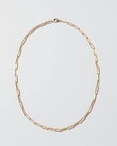  Long Oval Chain Necklace on light color background.
