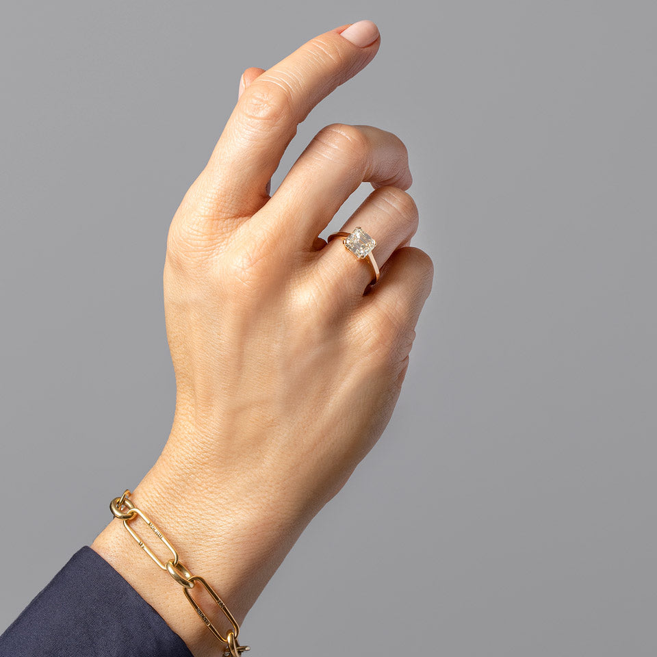 product_details::Integral Ring on model.