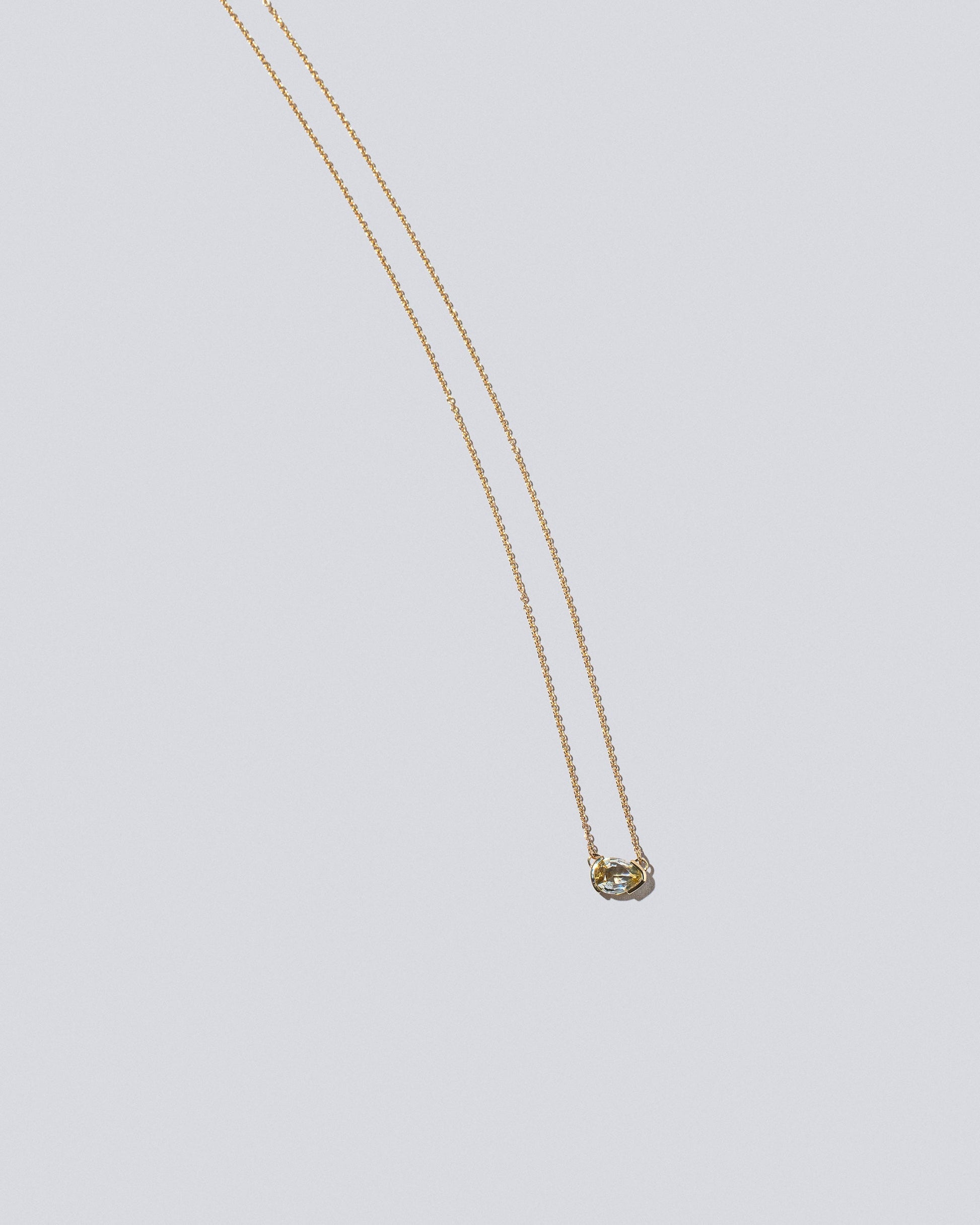 Product photo of the Guppy Necklace on light color background