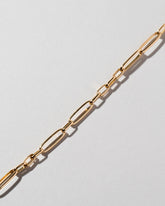  Long Loop Chain Necklace on light color background.