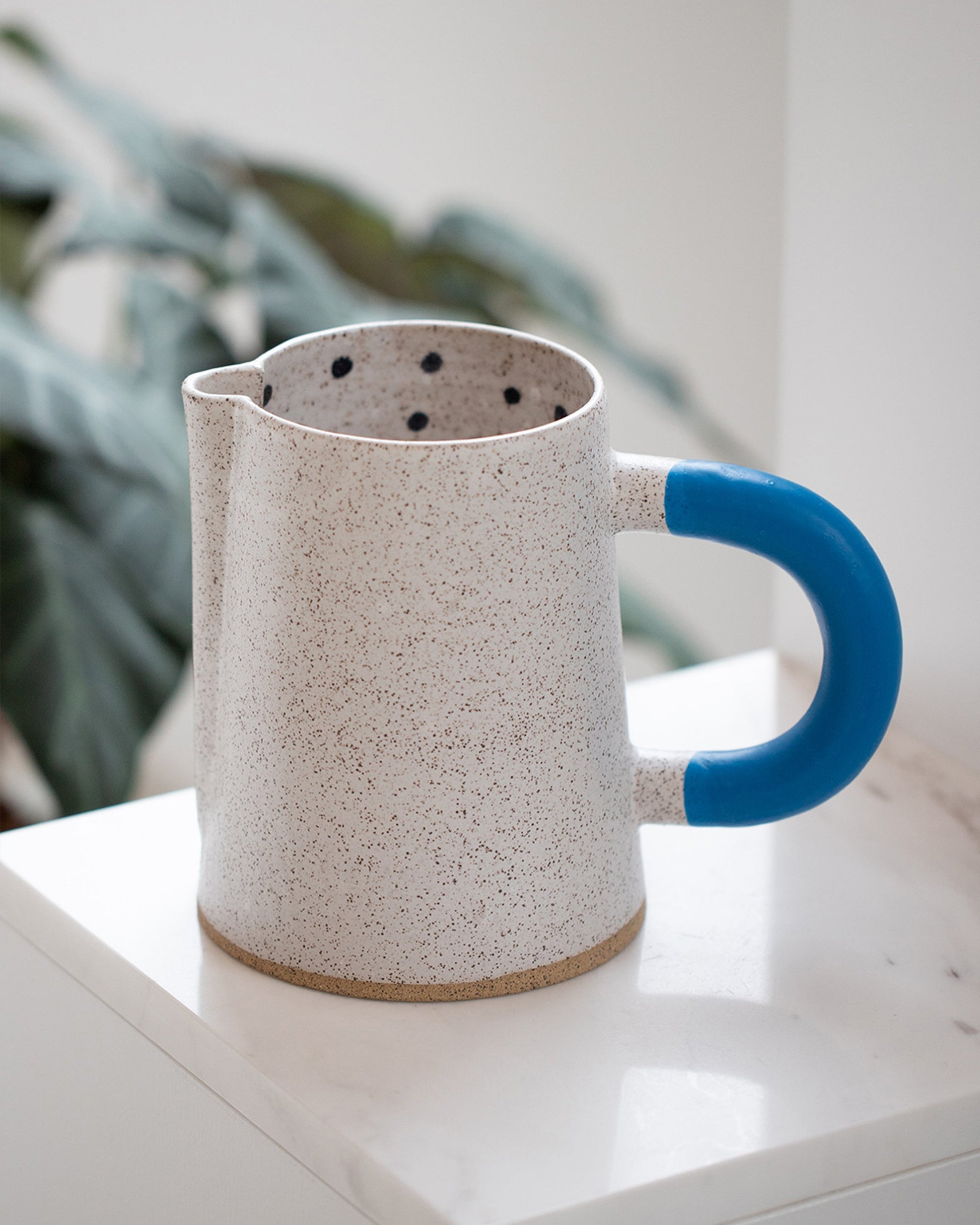 Styled image featuring Recreation Center Blue Dot Pitcher.
