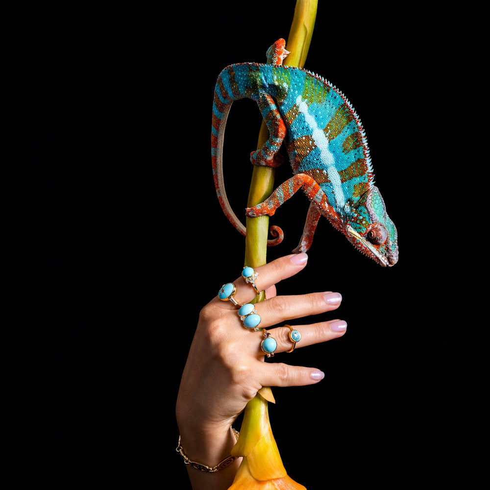 product_details::Editorial photo featuring Turquoise Rings on hand and live chameleon. 