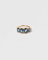  Blink Ring on light color background.