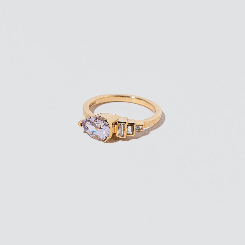 product_details:: Fixation Ring on light color background.