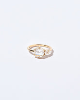  Bloom Ring on light color background.