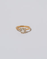 Product photo of the Coupe Ring on light color background