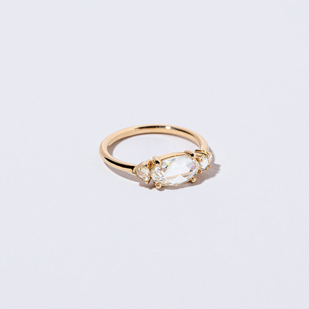 product_details:: Rosarian Ring on light color background.
