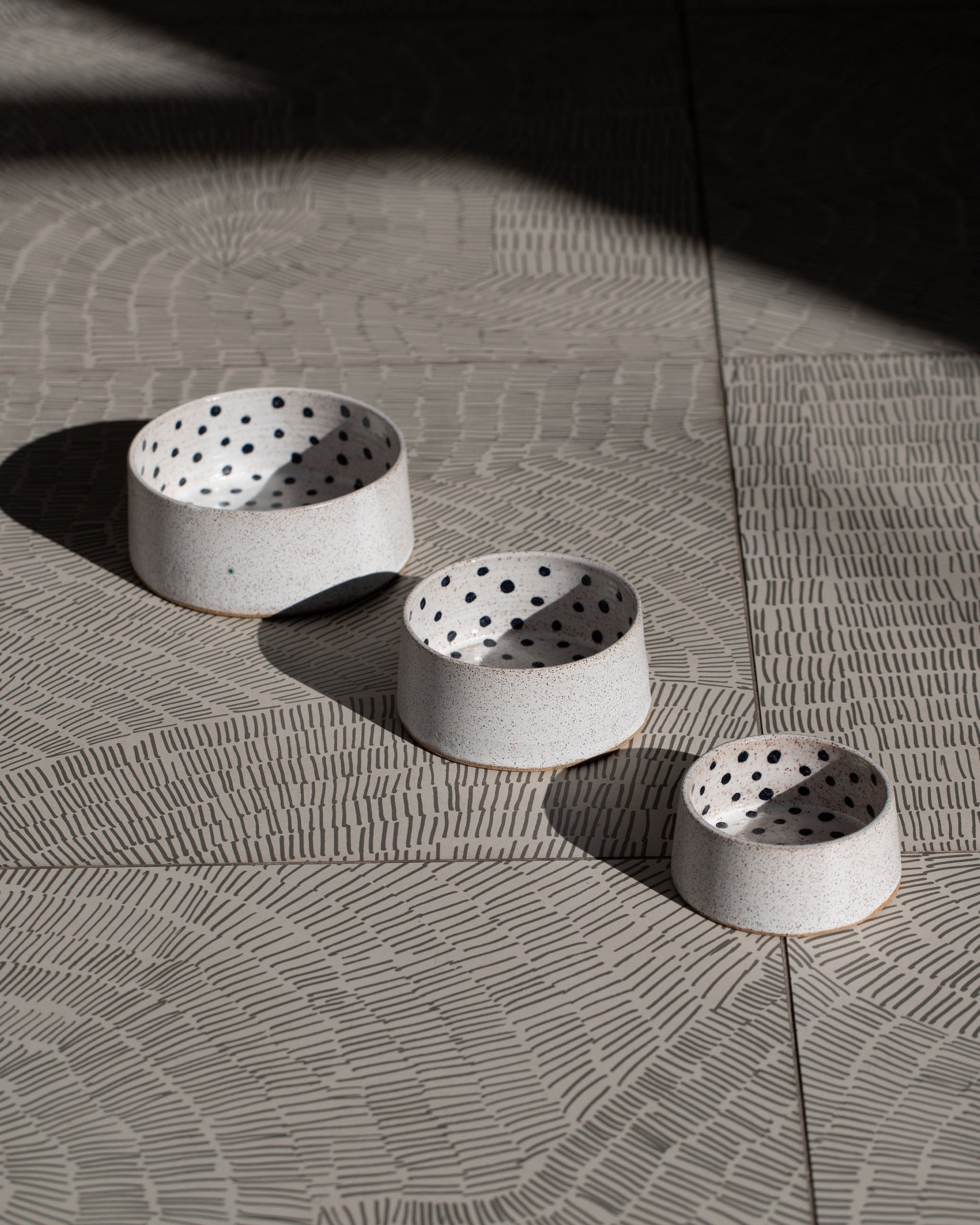 Styled image featuring Recreation Center Small, Medium, and Large Dog Bowls.